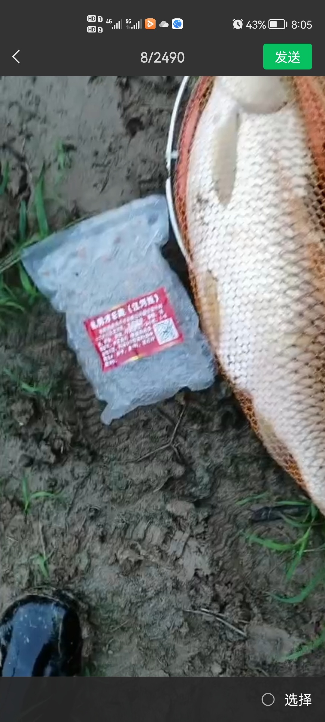 1630156310169958.jpeg