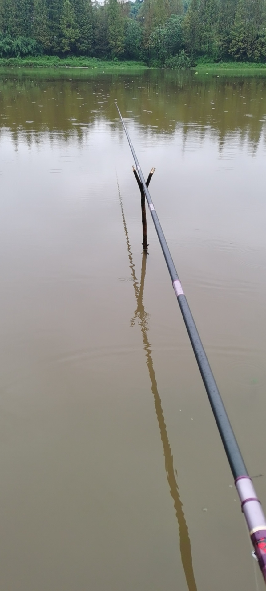 1630156310587775.jpeg