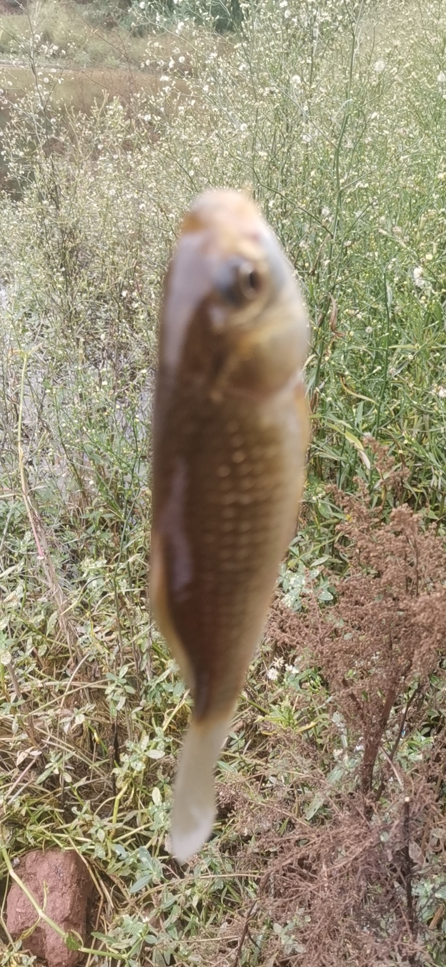 1633701634946814.jpeg