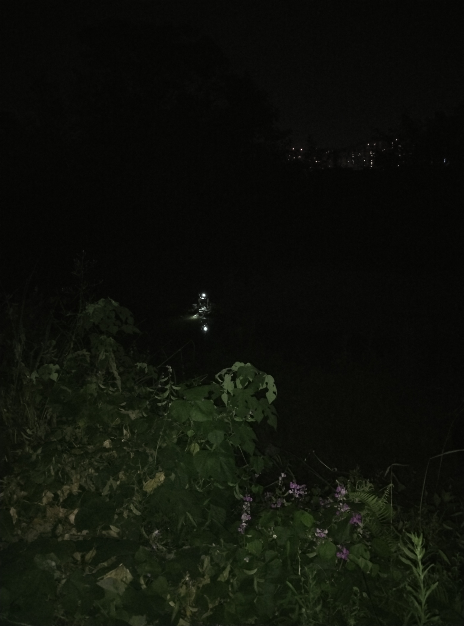 1633738299356826.jpeg