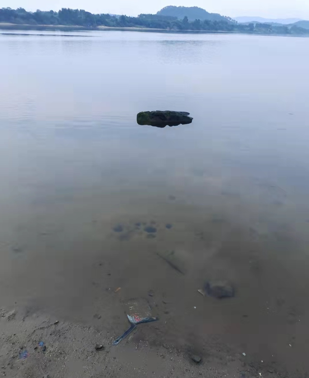 1633683870163350.jpeg