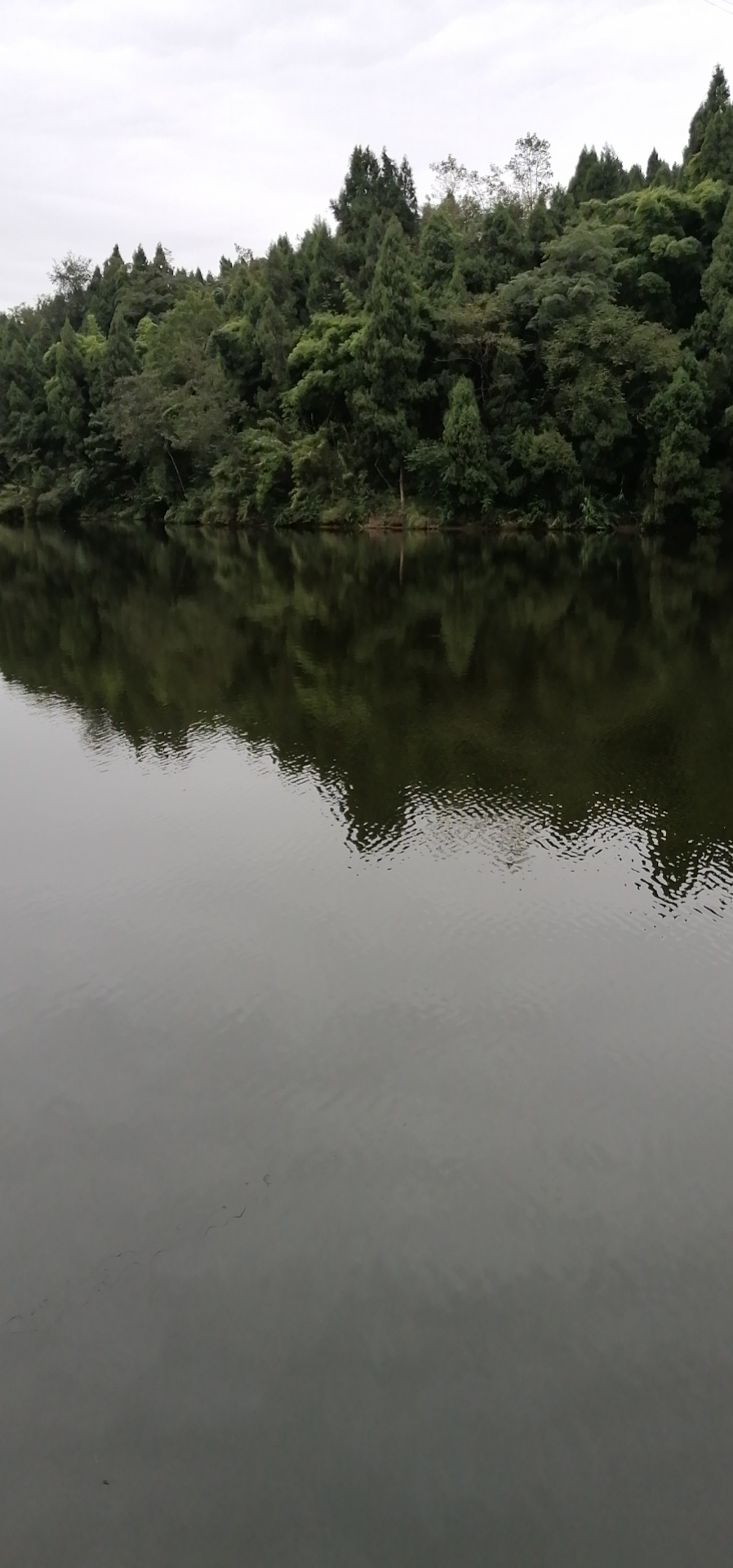 1634302745957644.jpeg