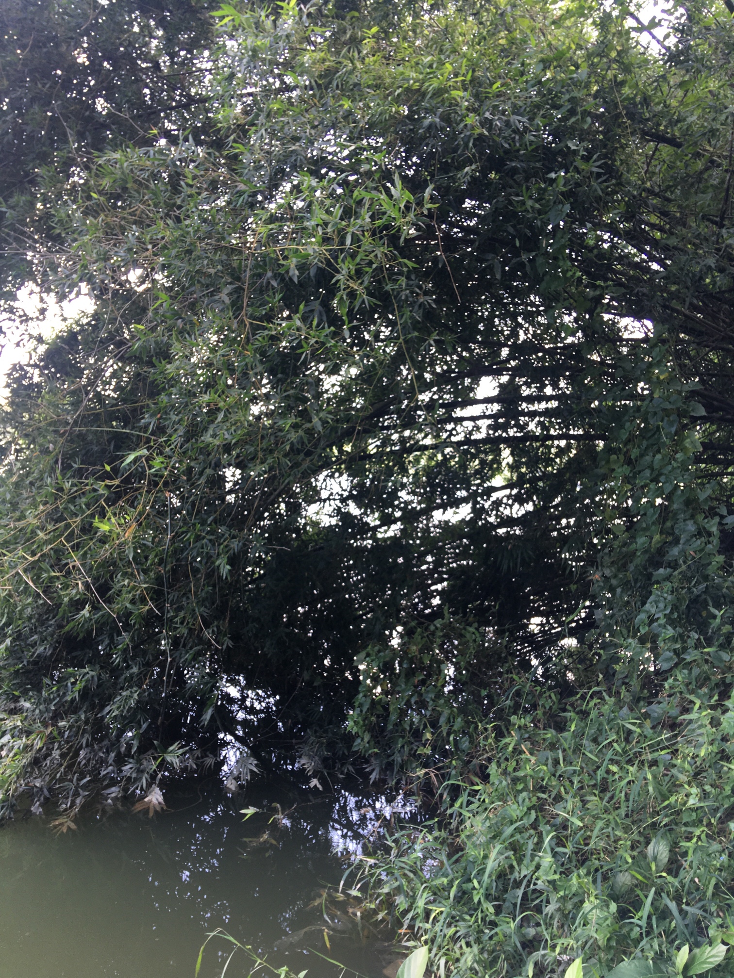 1634601961630807353.jpg