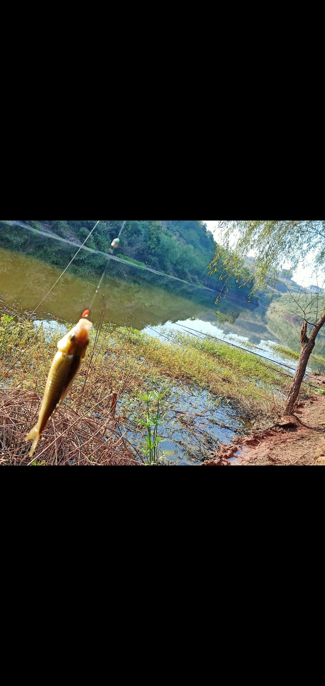 1635090578552199.jpeg