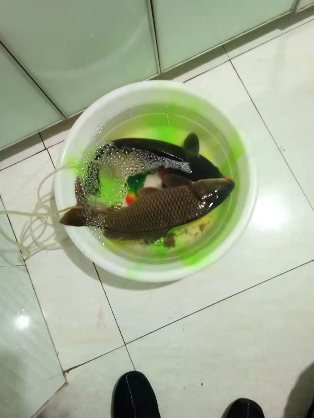 ΢ͼƬ_202110270018451.jpg