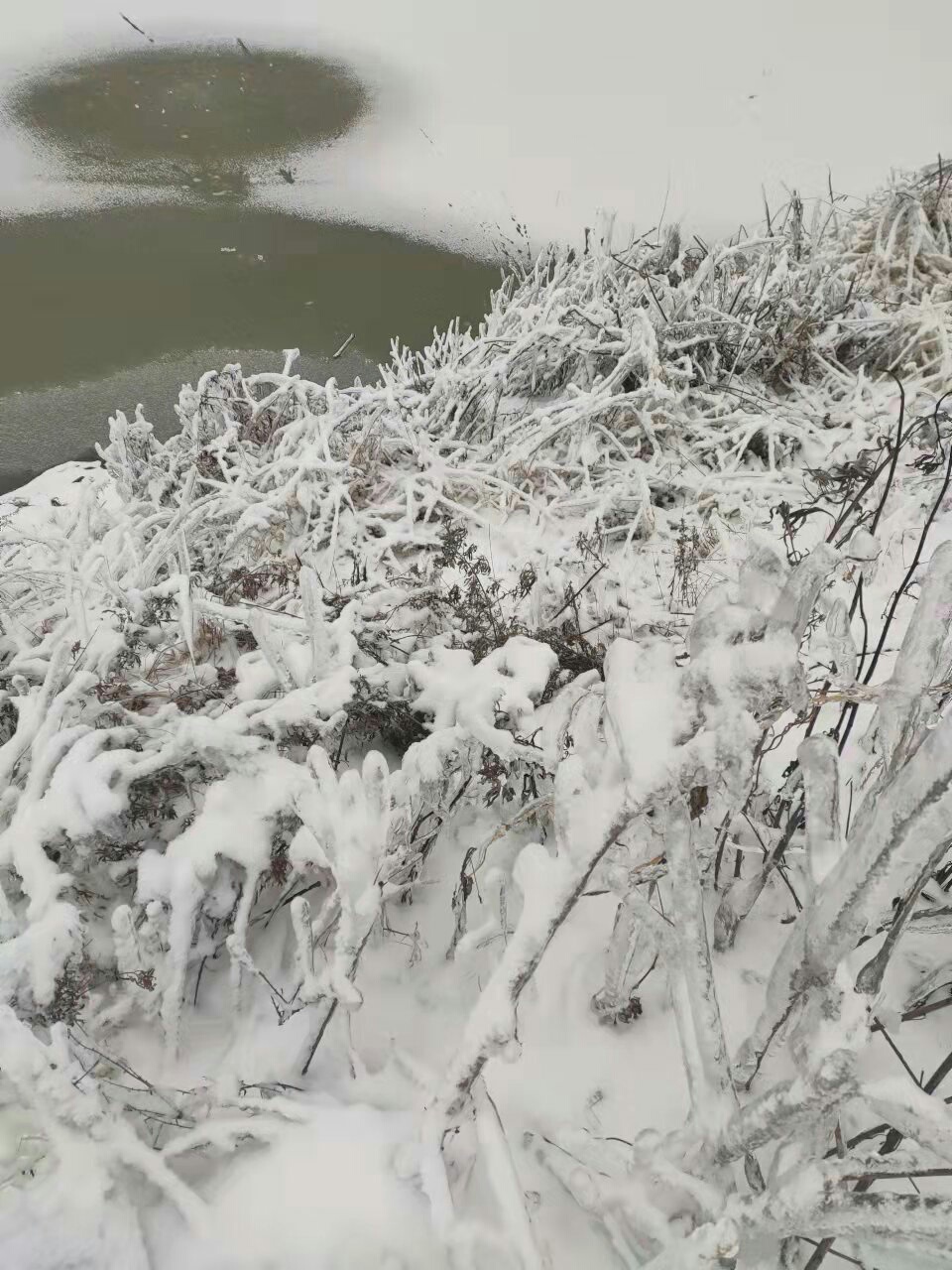 1637286780728874.jpeg