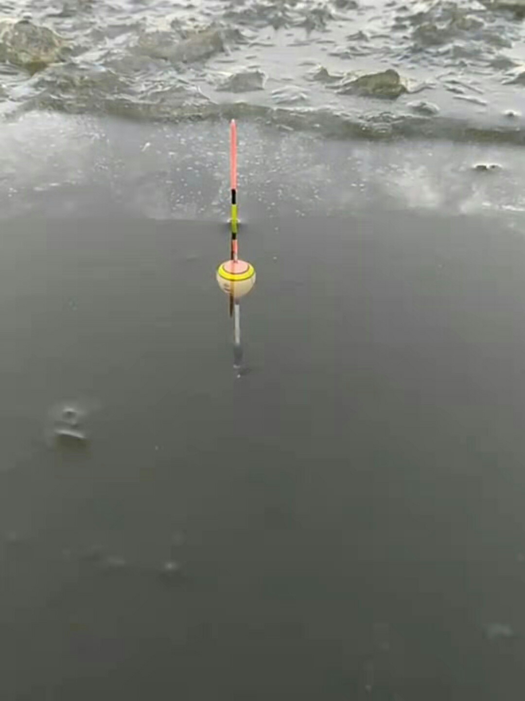 1637286780274669.jpeg