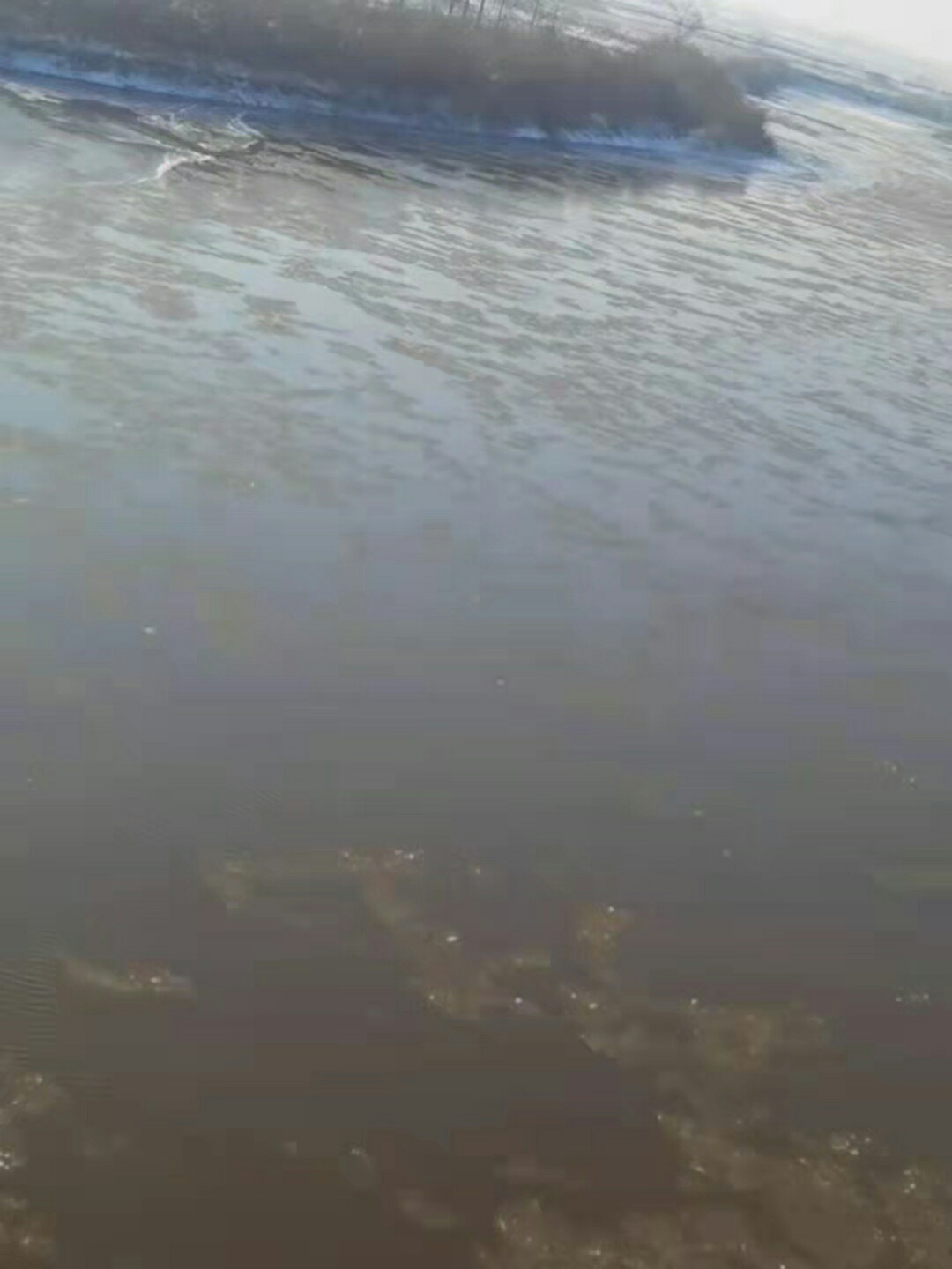 1637286839354725.jpeg