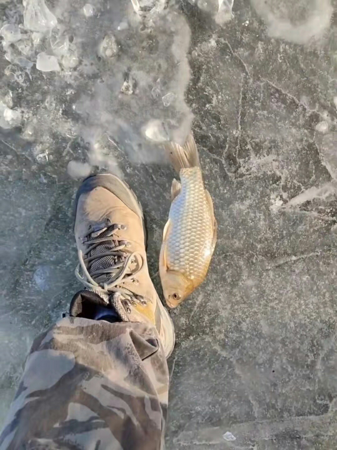 1637334126054502.jpeg