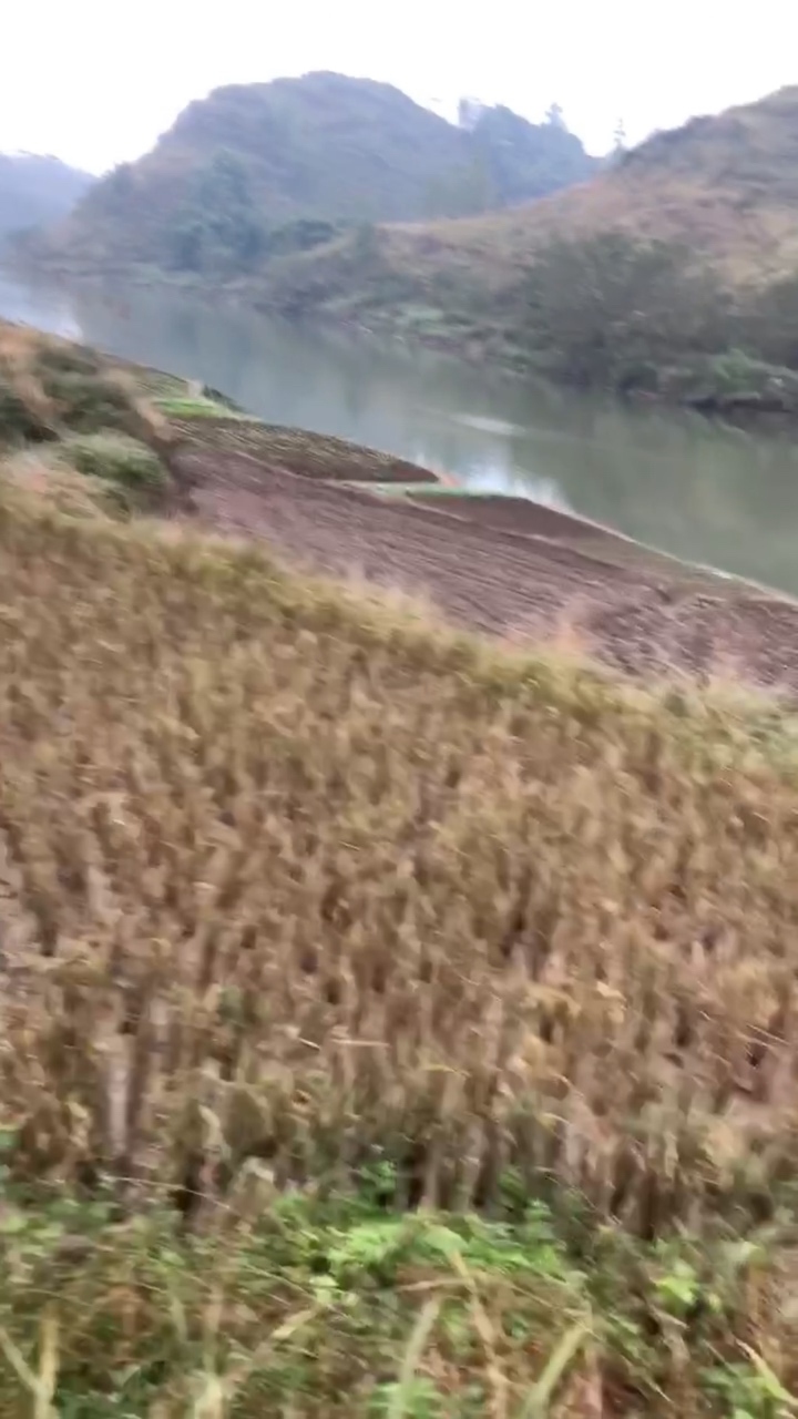 1637410857193679526.jpg