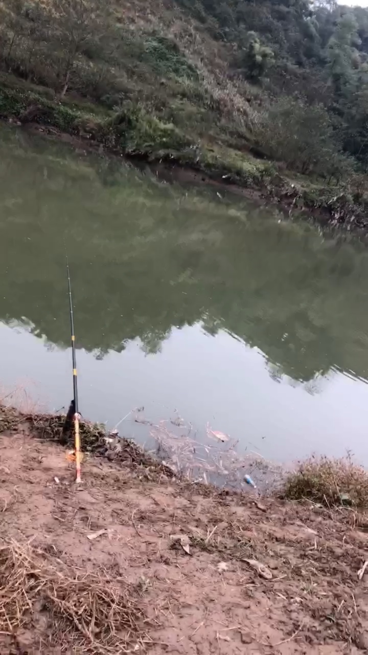 1637410857198887279.jpg