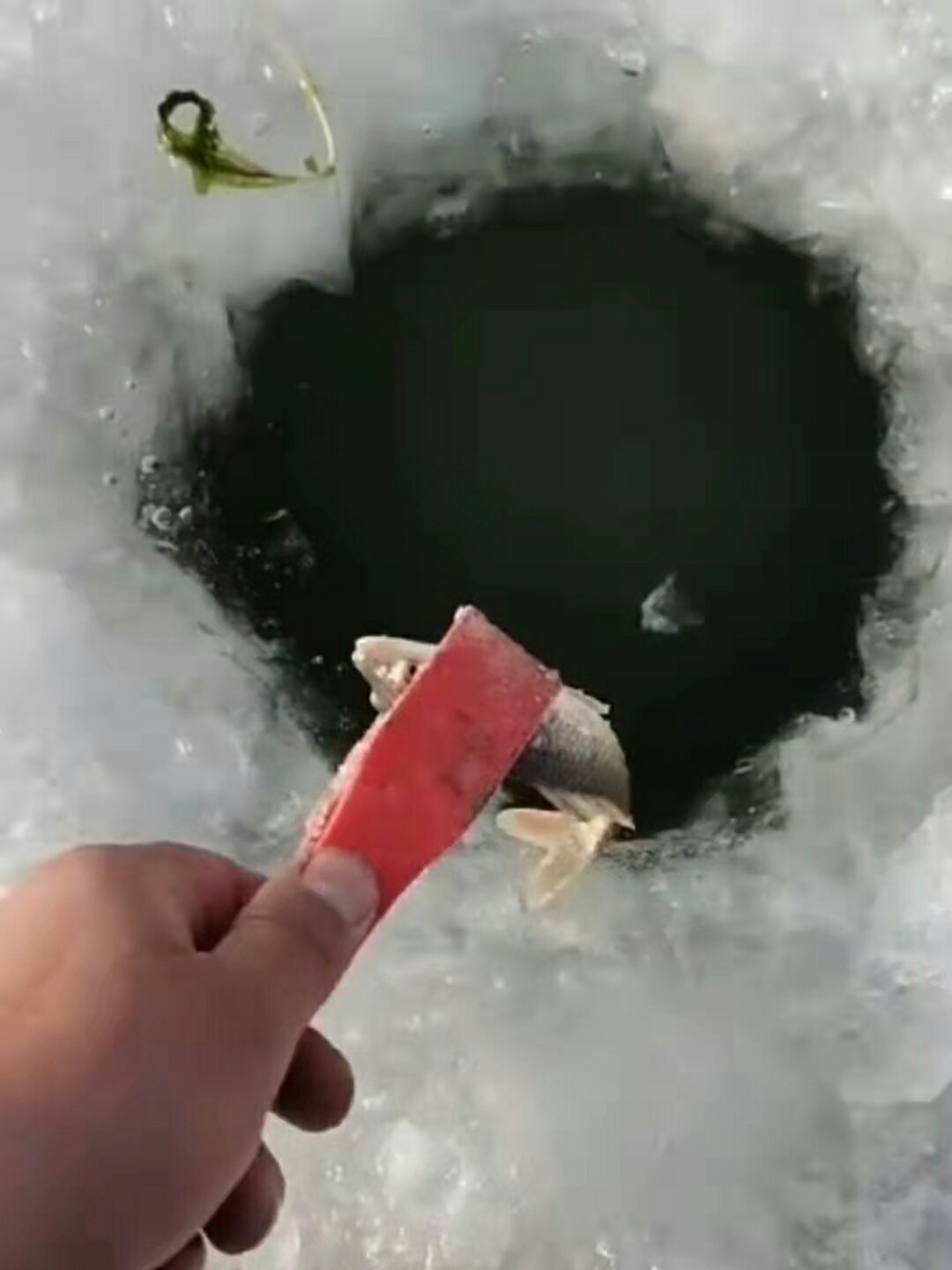 1637397528984968.jpeg
