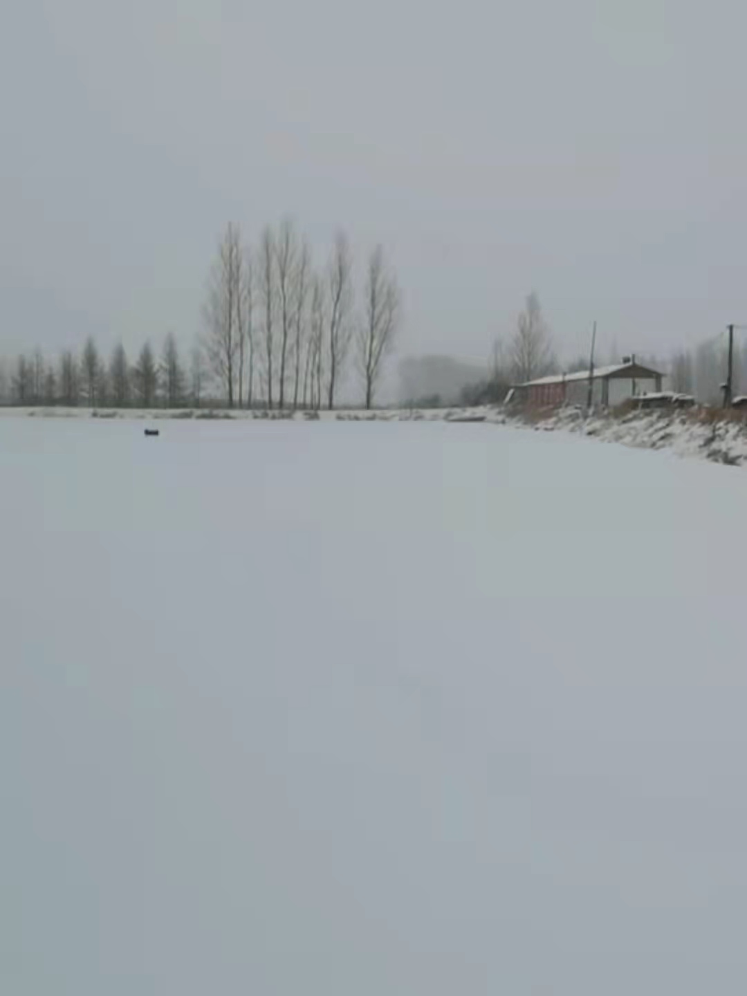 mmexport1637813518556.jpg