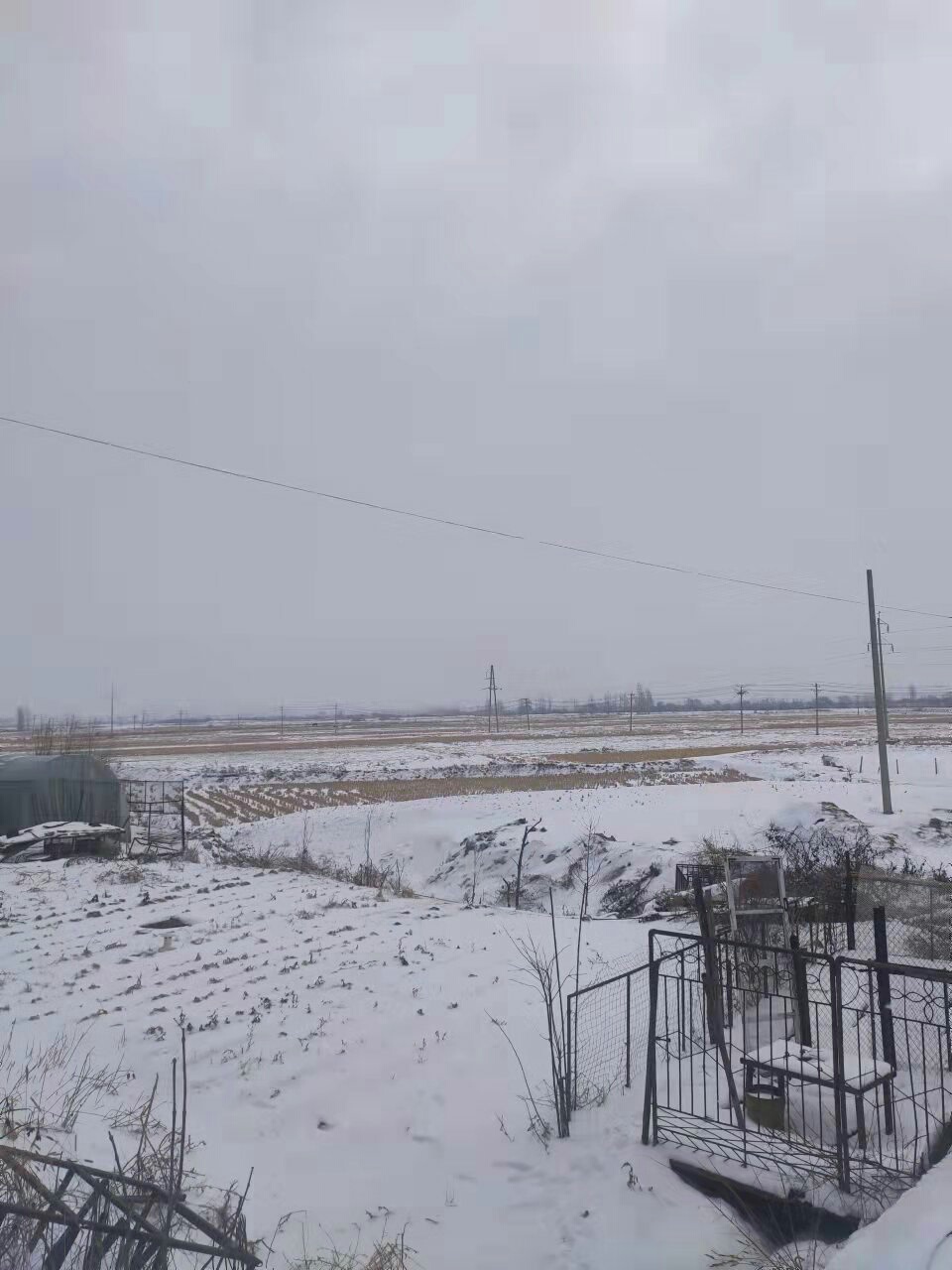 1637916330160333.jpeg