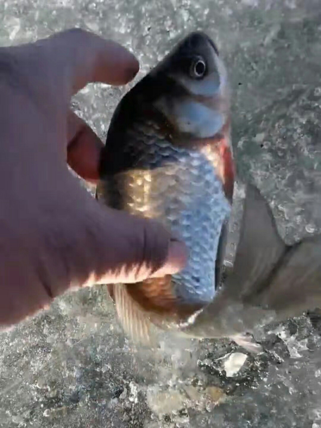 1638020642212453.jpeg