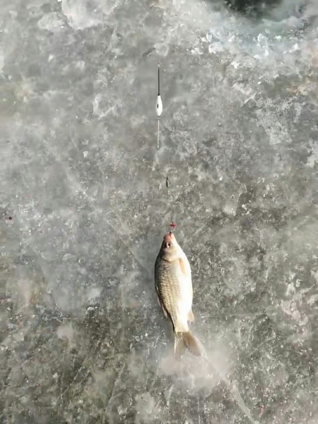 1638020682143542.jpeg