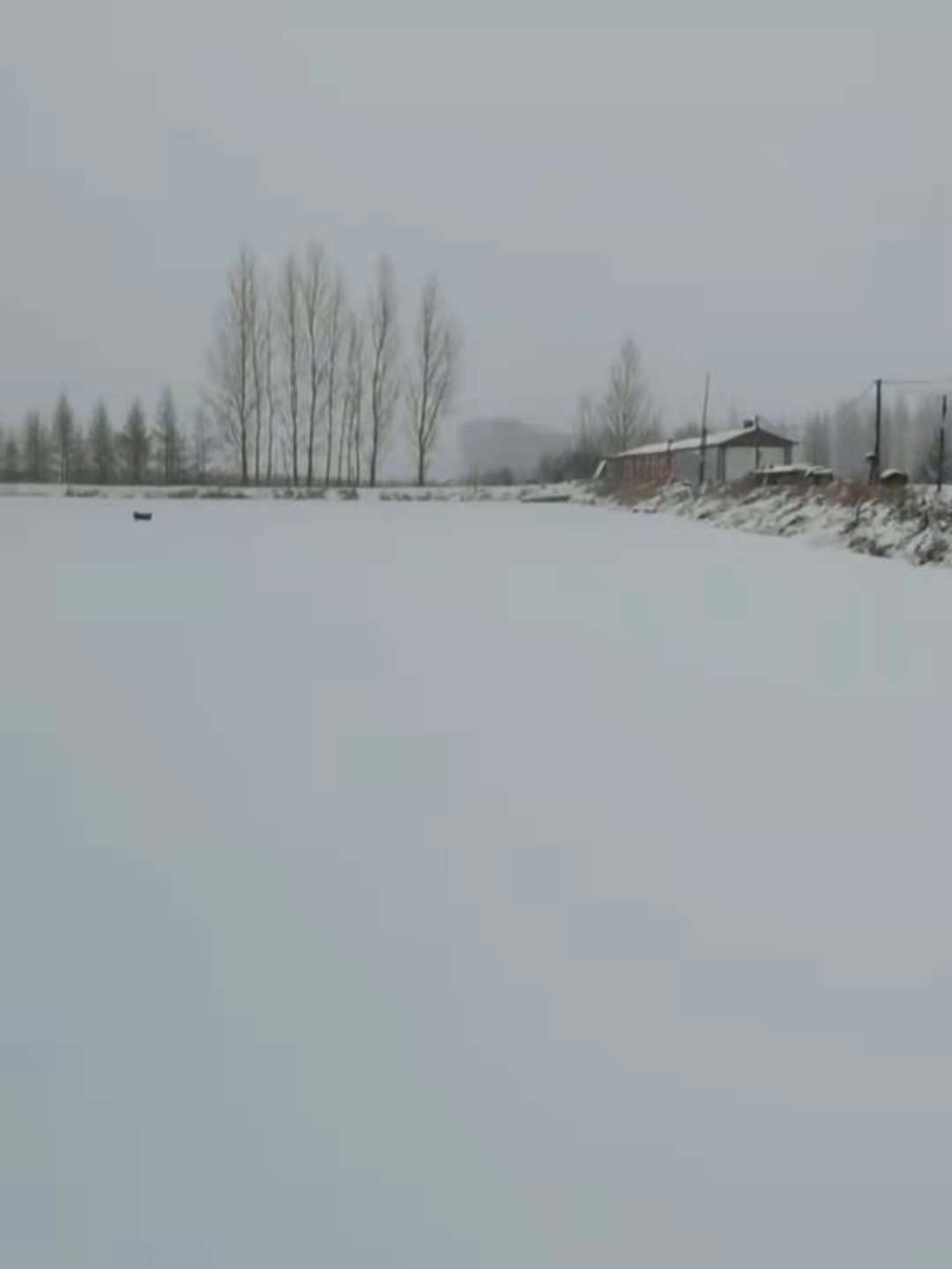 mmexport1637994216837.jpg