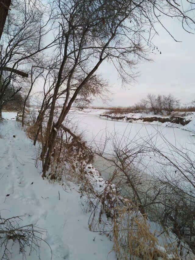 1638020720980269.jpeg