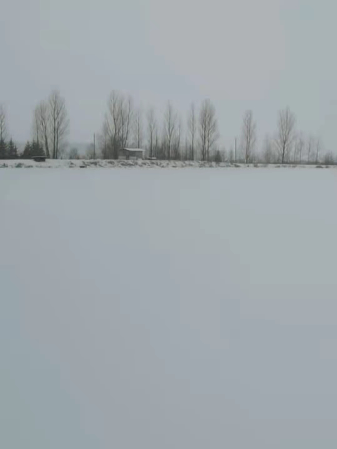 mmexport1637994284923.jpg