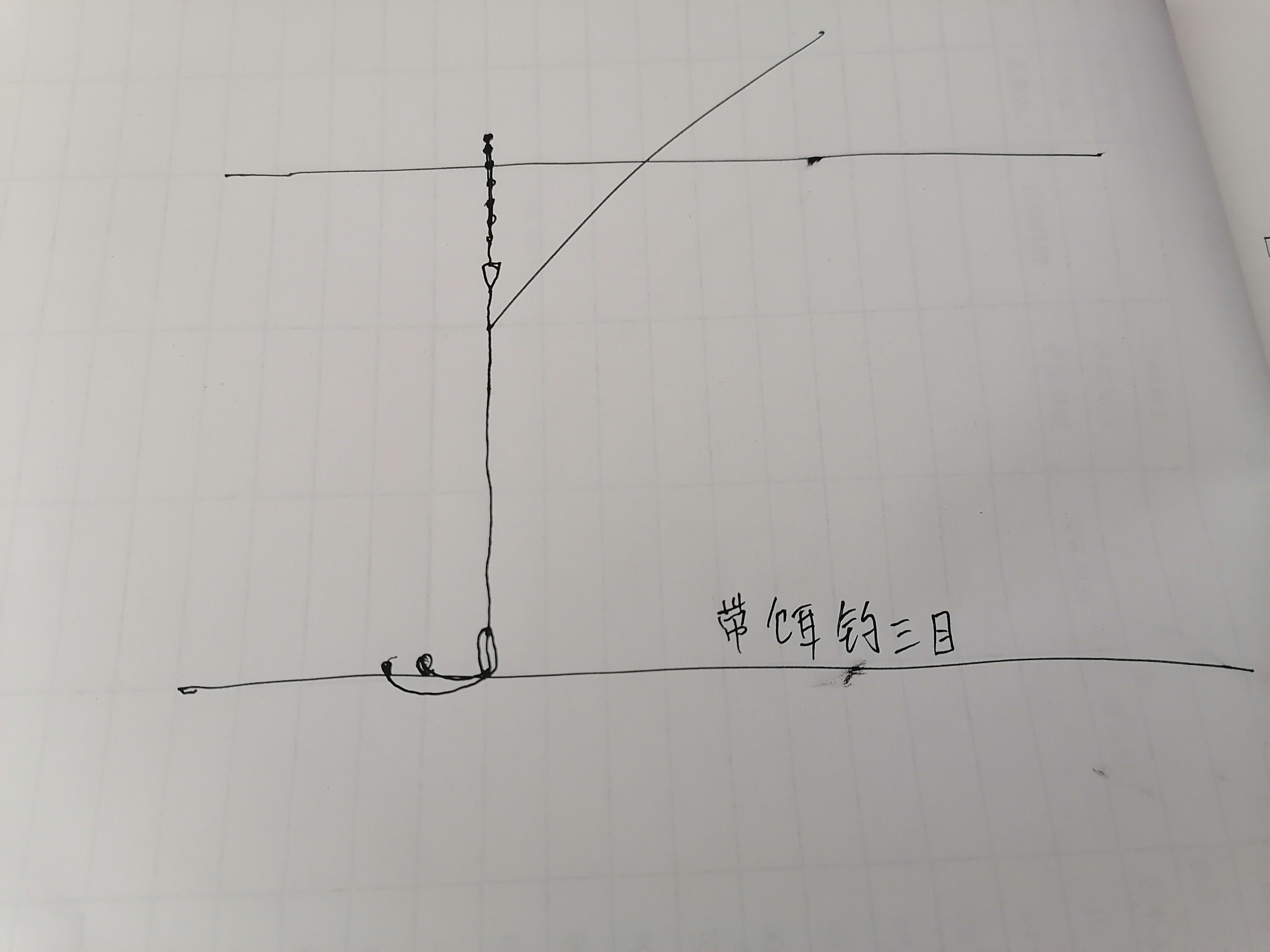 1638284830142643.jpeg