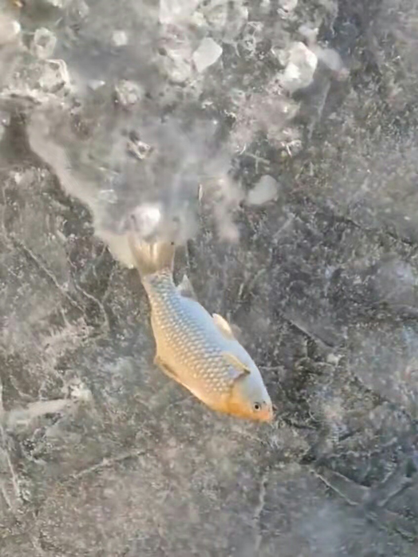 1638240691860277.jpeg