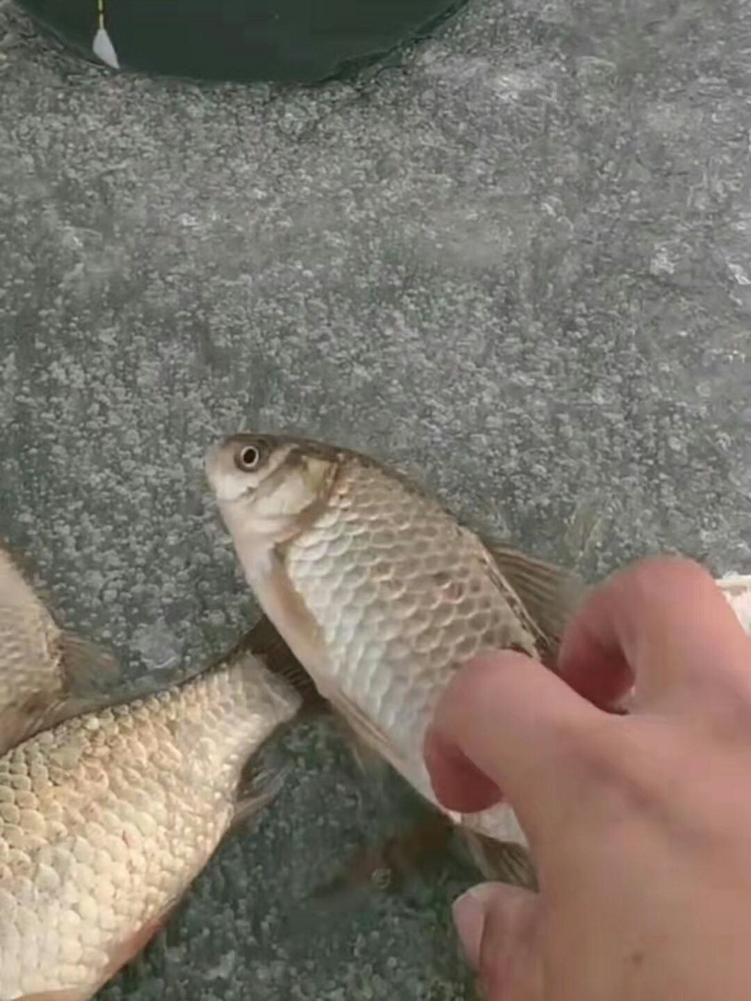 1638439402547145.jpeg