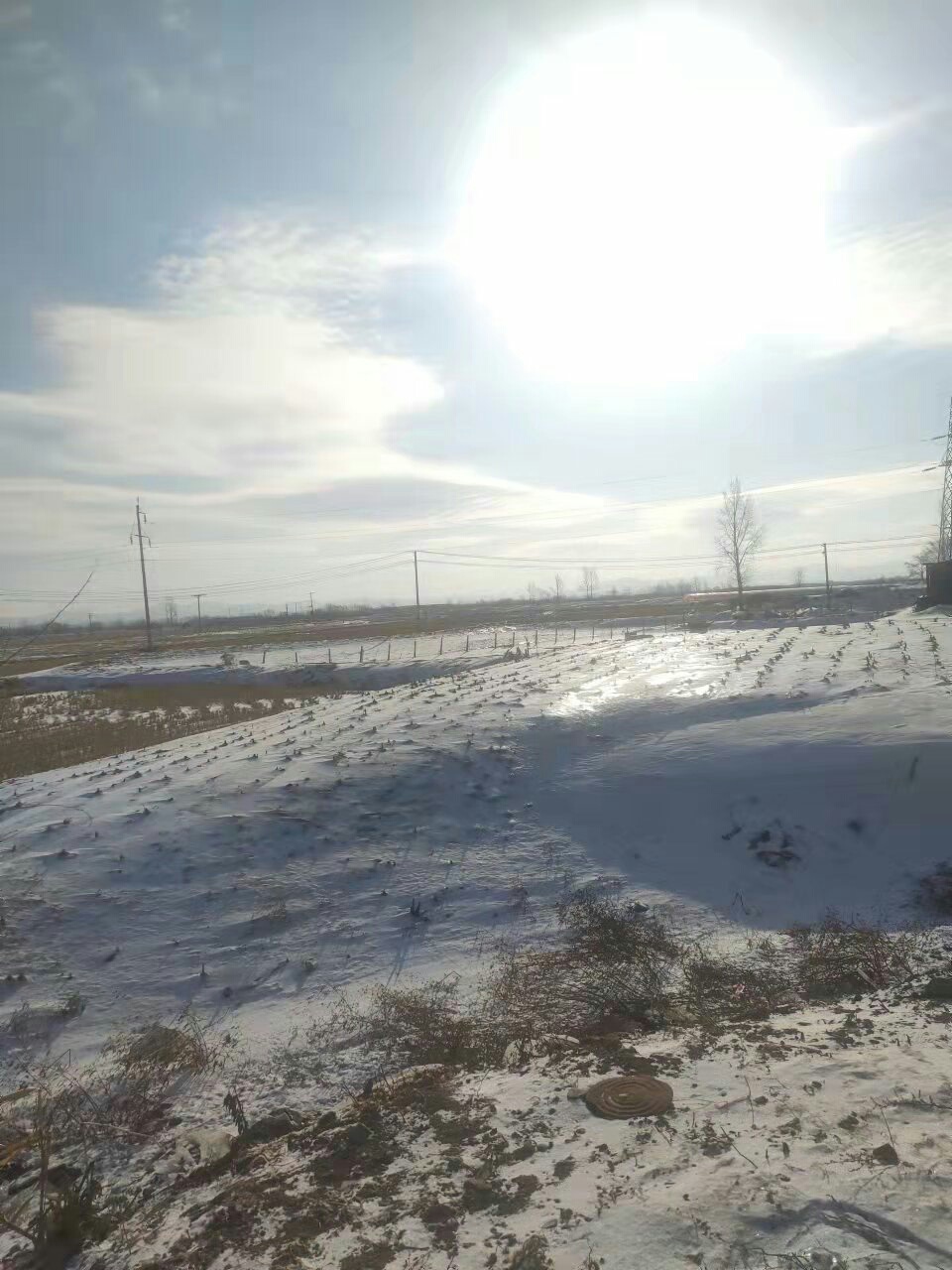 1638593577404602.jpeg