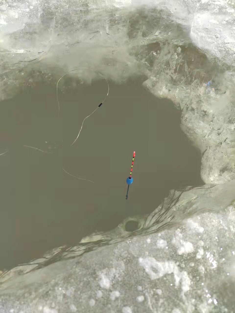 1639035143631471.jpeg