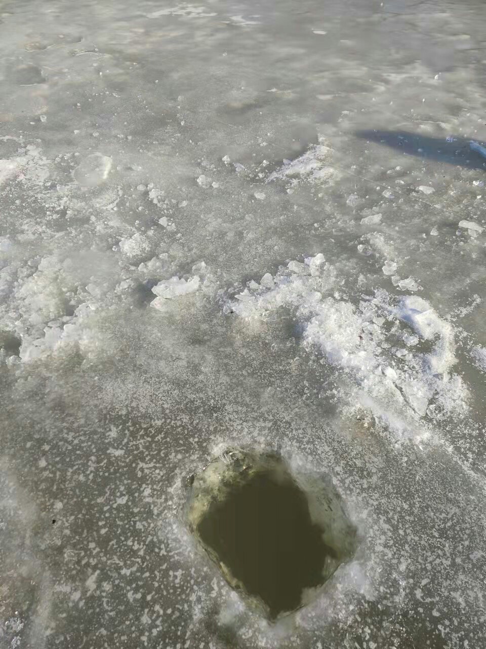 1639035172152759.jpeg