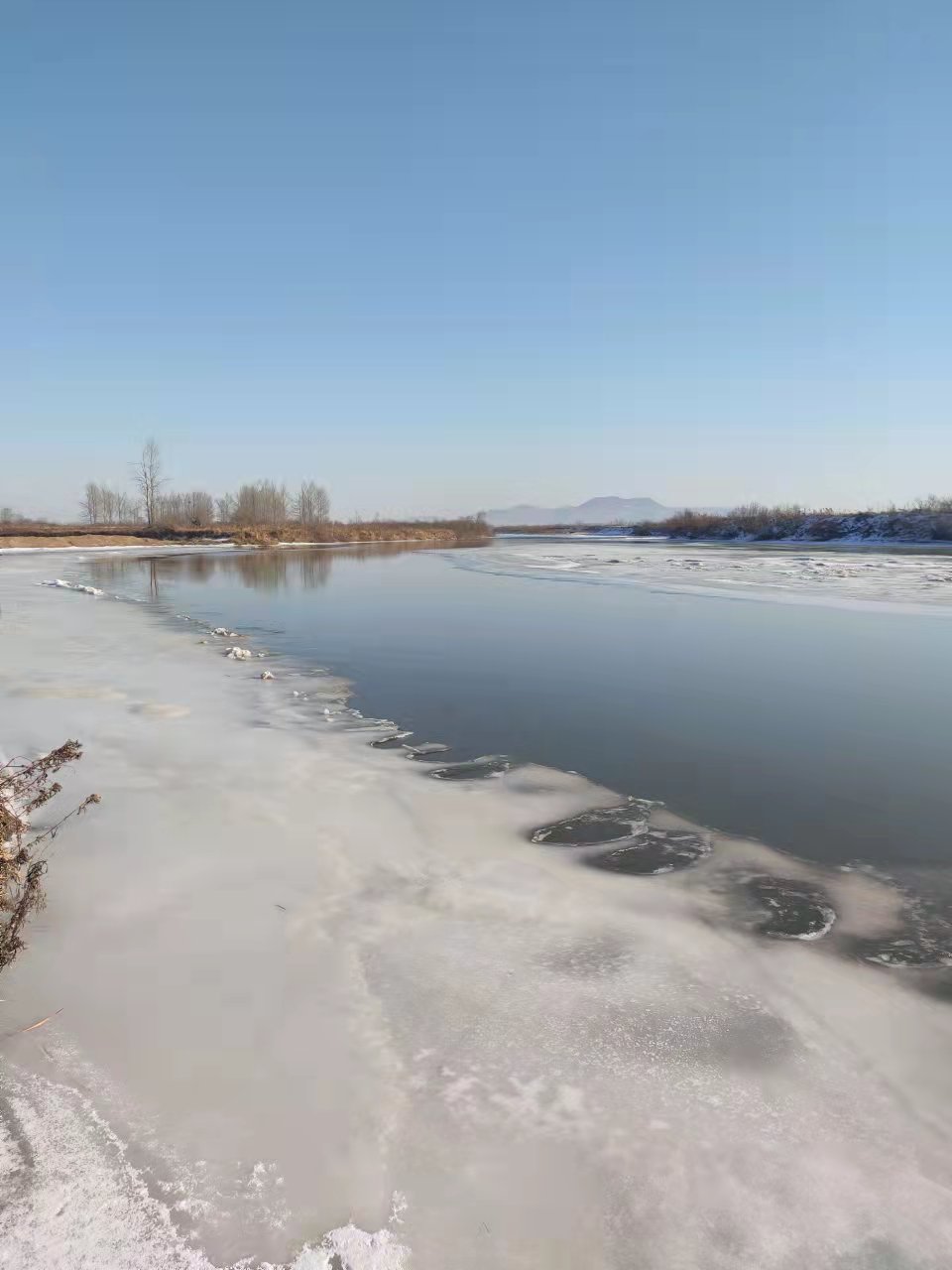 mmexport1638968891857.jpg