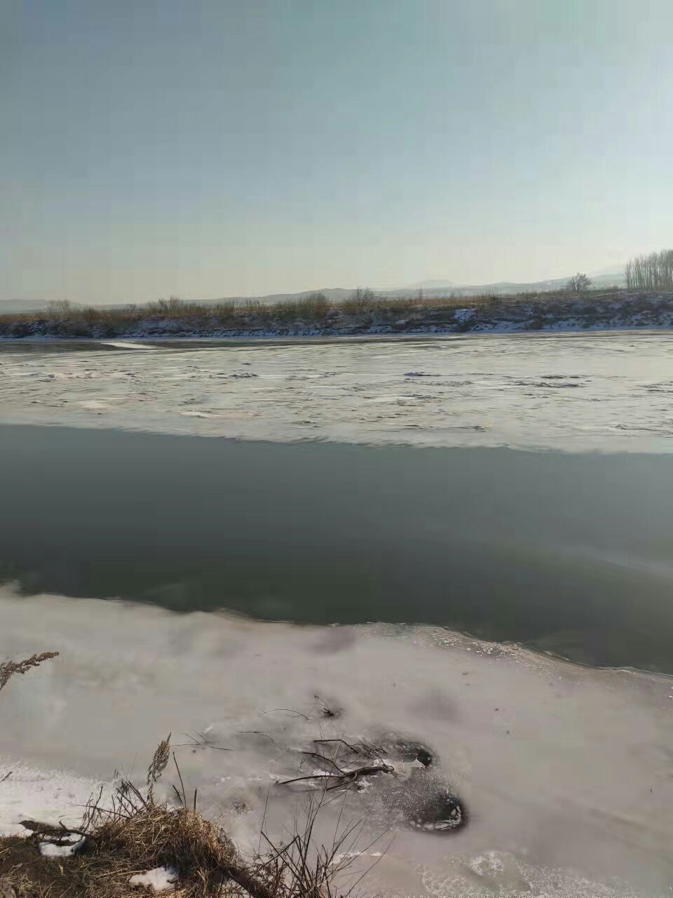 1639035202042889.jpeg