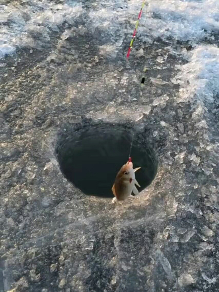 163918296349835.jpeg