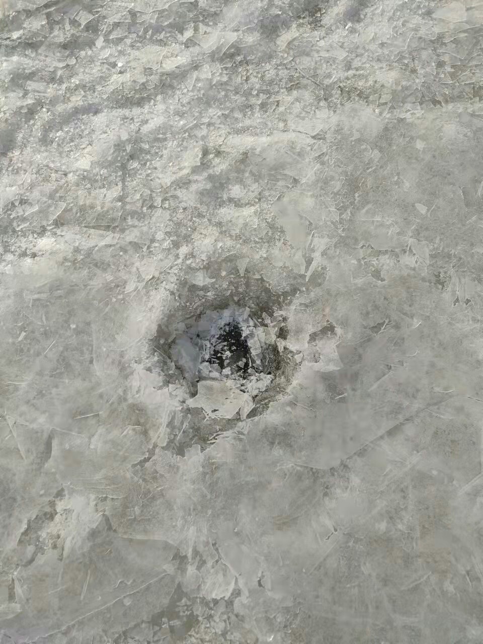 1639359443670247.jpeg