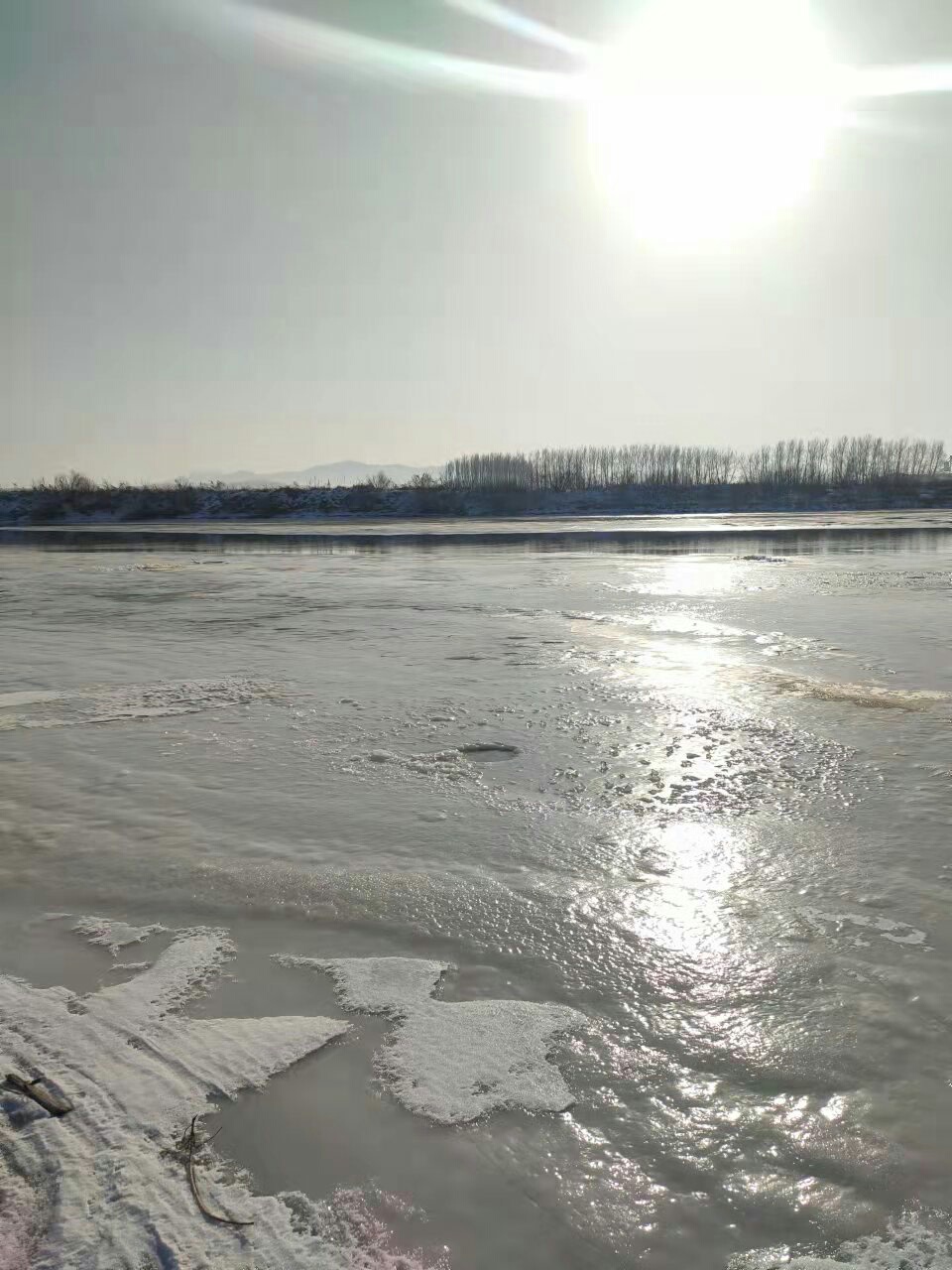 1639460245784934.jpeg