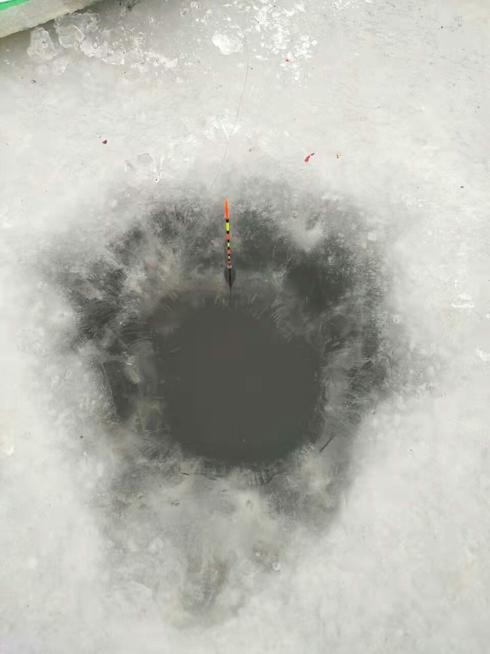 1640302255273633.jpeg