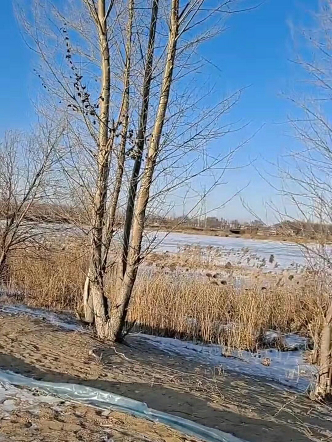 1640302255455897.jpeg