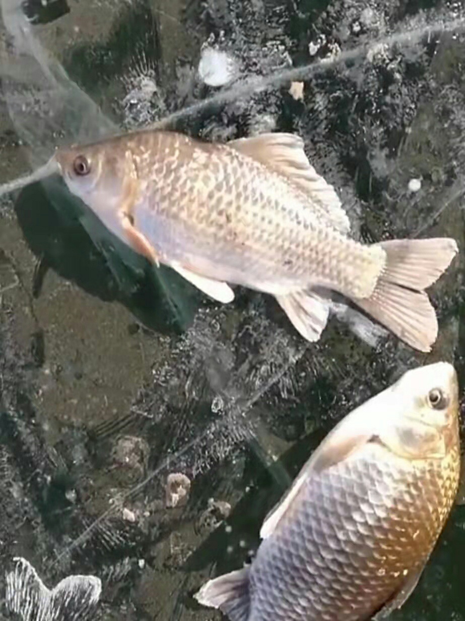 1640392422814184.jpeg