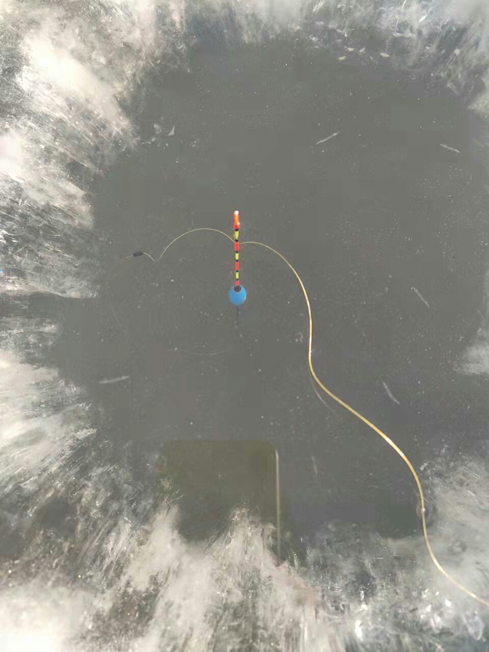 1640392480142551.jpeg