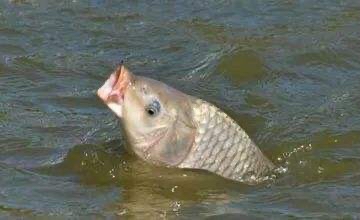 1640443732838678219.jpg