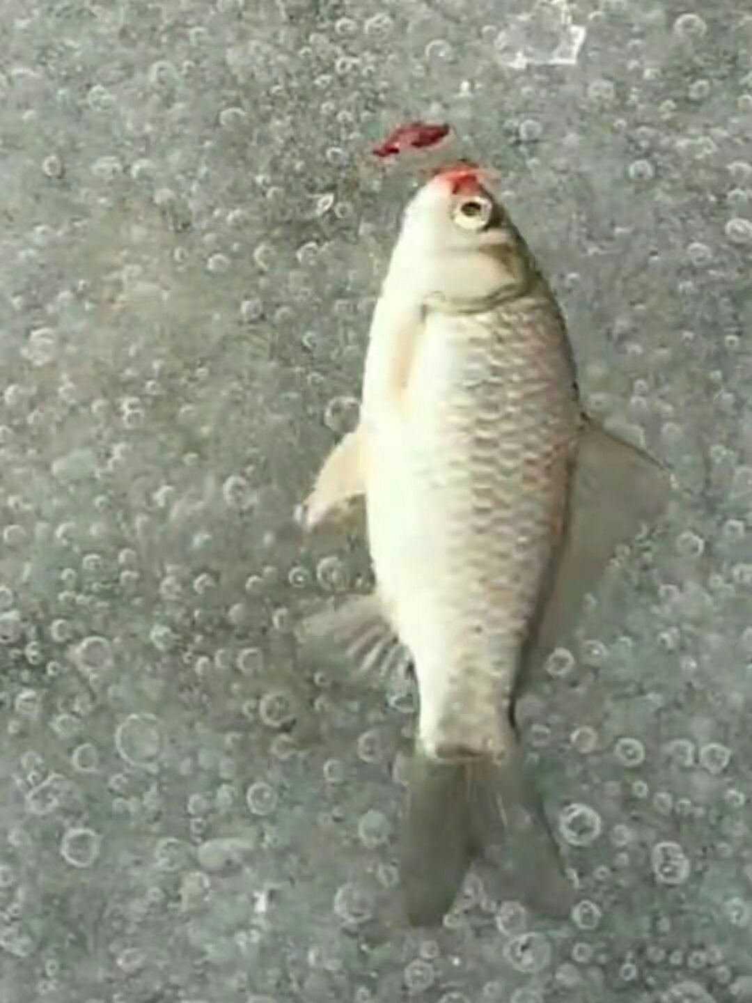 1640566126022611.jpeg