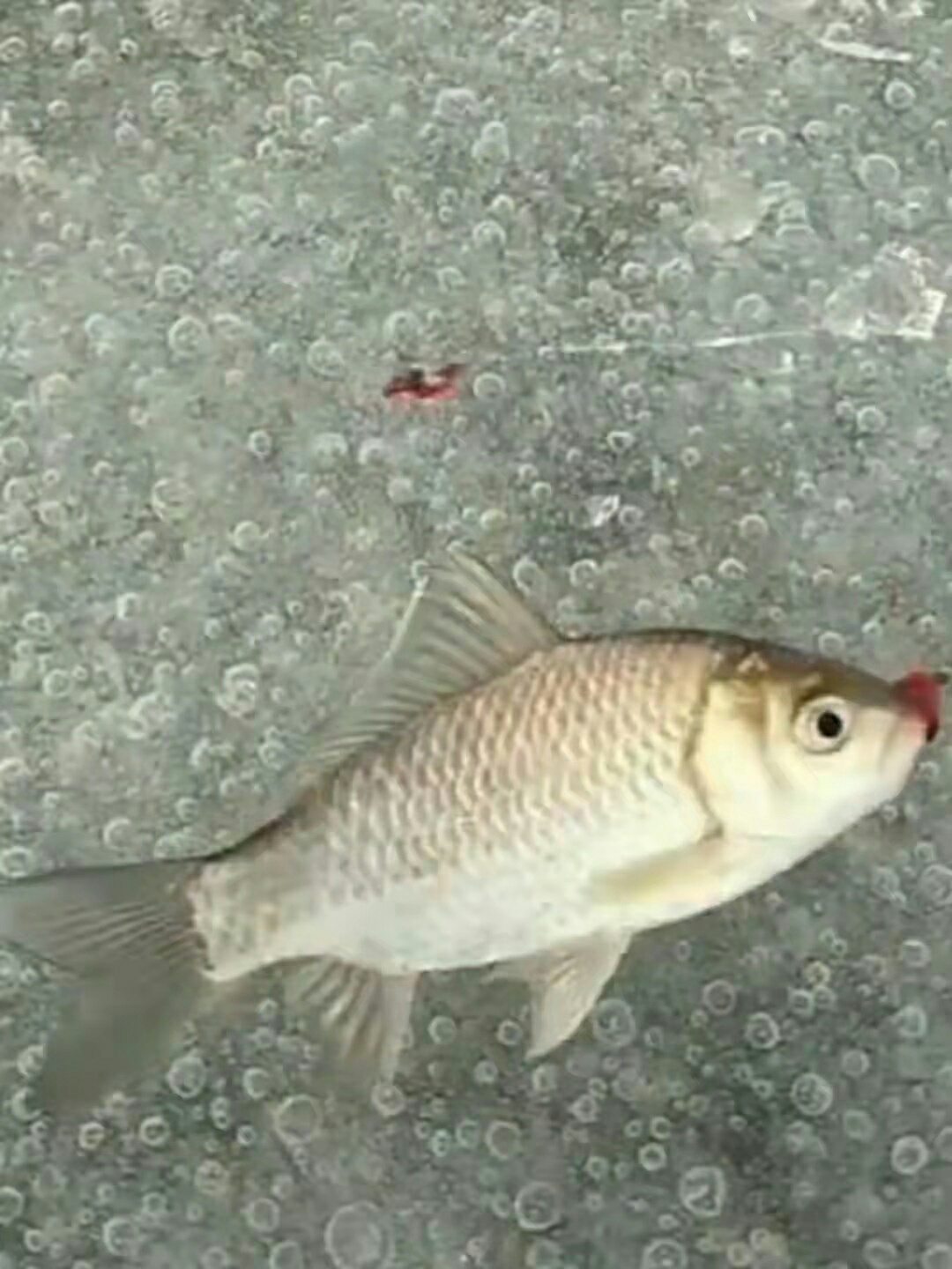 1640566125625606.jpeg