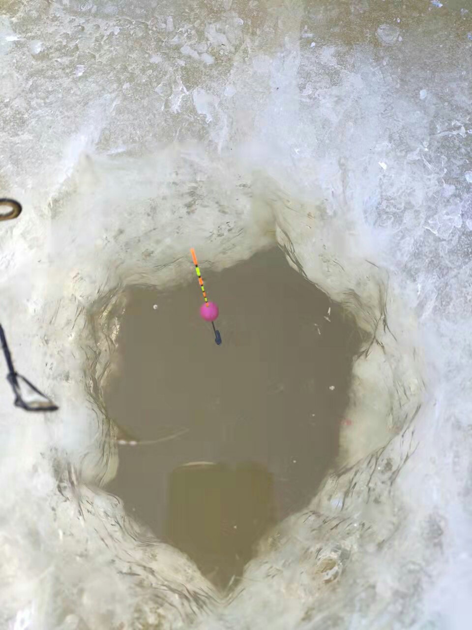 1640566126270140.jpeg
