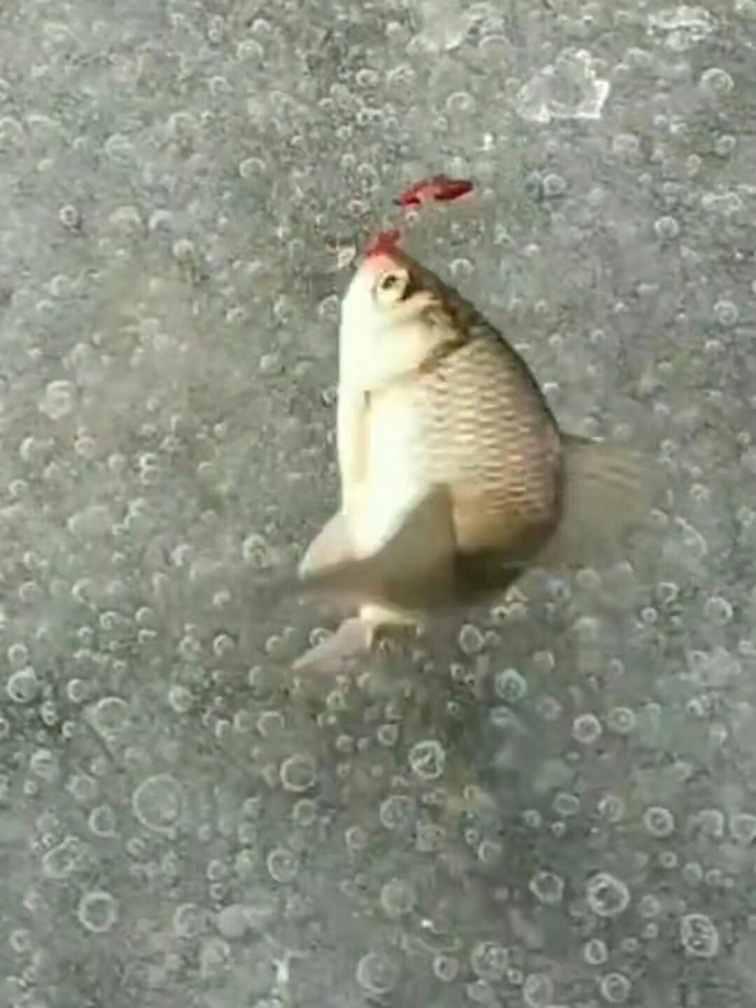 1640566172629686.jpeg