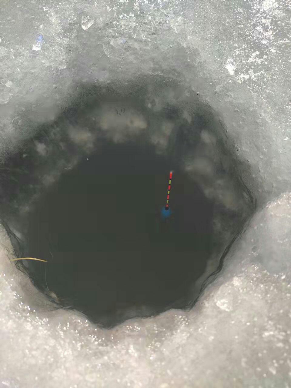 1640566172408793.jpeg