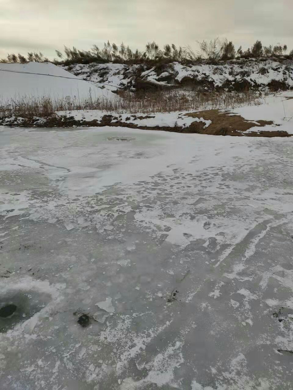 1640566172862928.jpeg