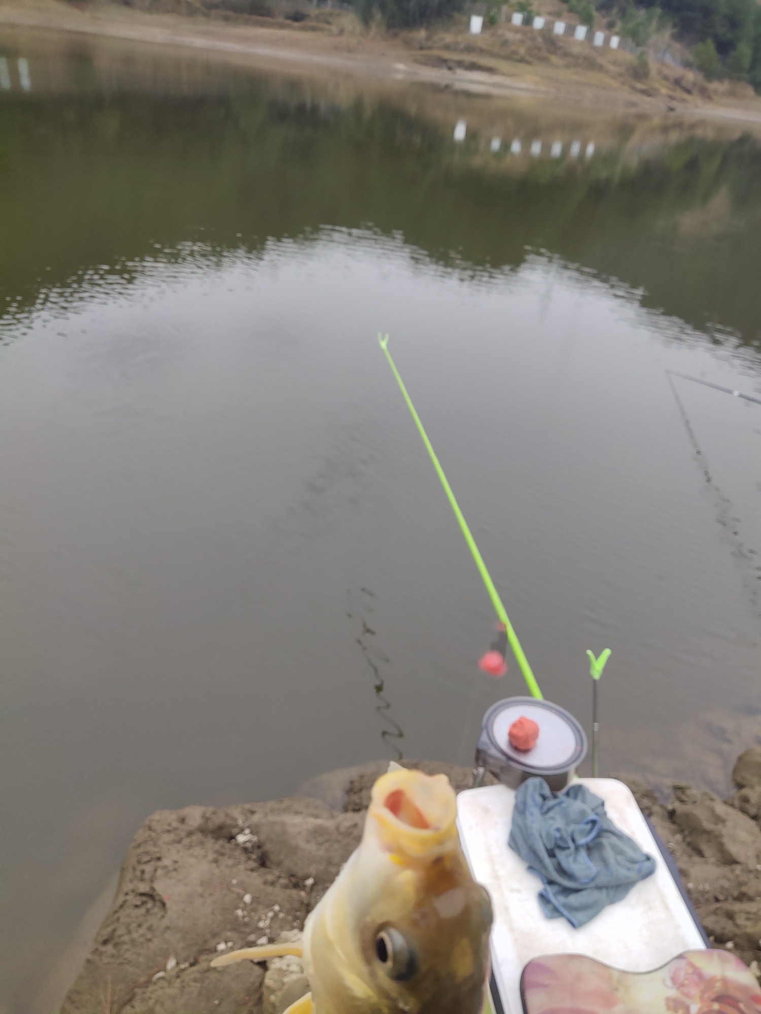 1640606255525852.jpeg