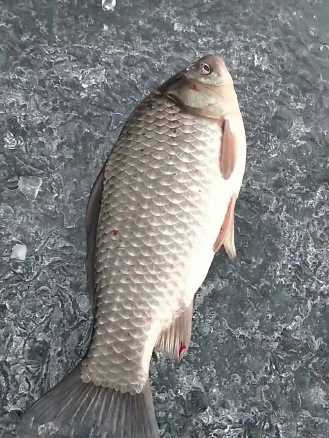 1640647789095478.jpeg