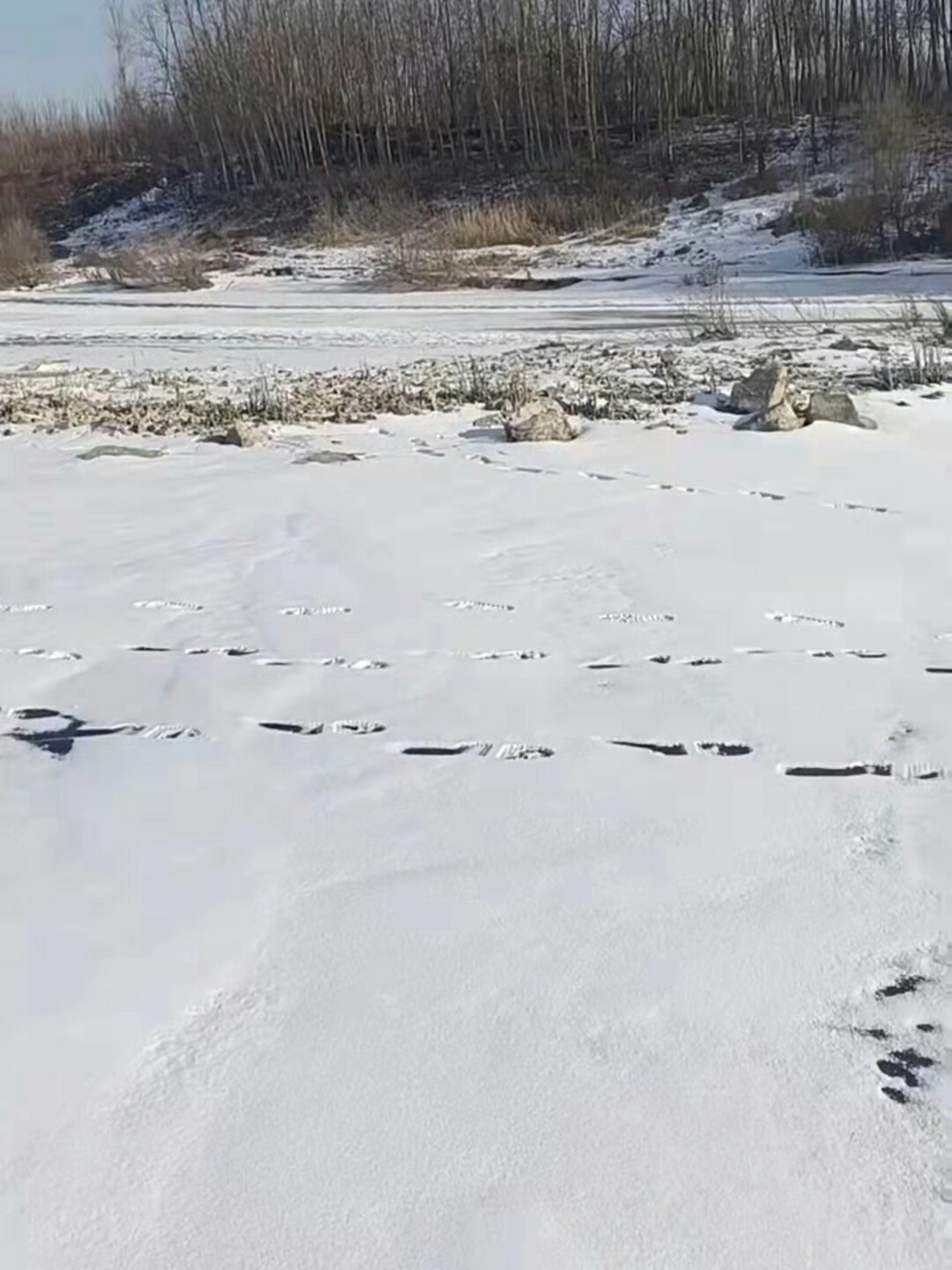 1640647788802188.jpeg