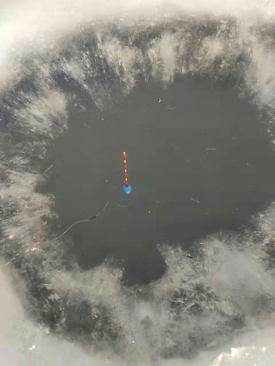 1640647829128685.jpeg