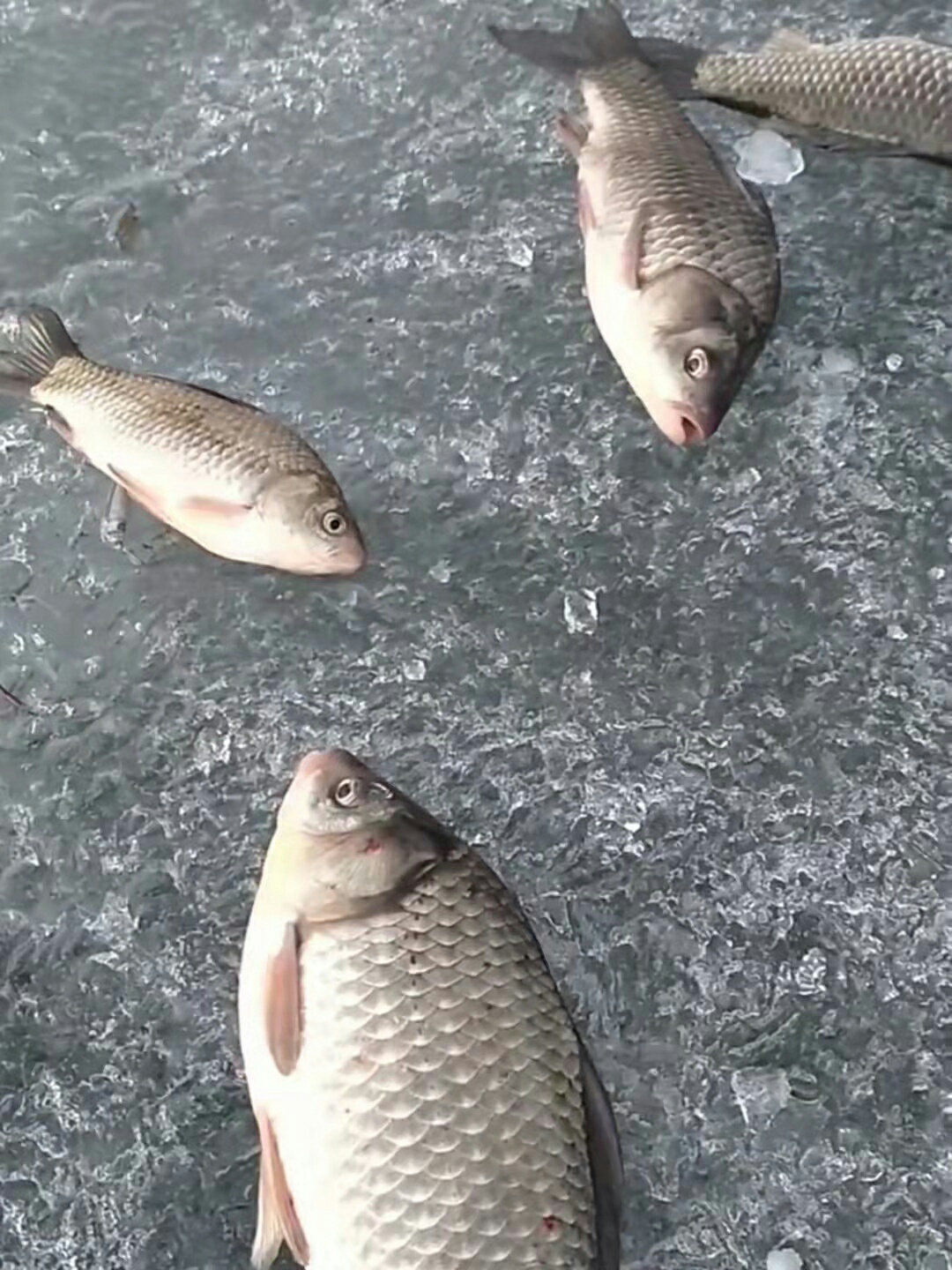 1640647829282169.jpeg